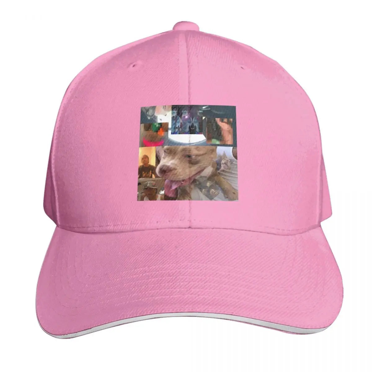 The Steve Lo-Fi 2020 Vintage Graphic Baseball Cap