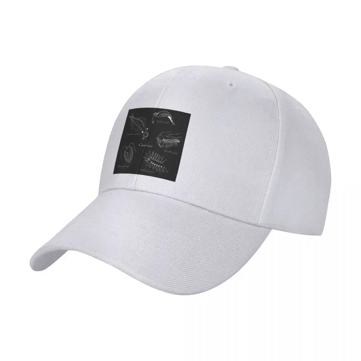 Cambrian Life Fossil Inspired Baseball Cap