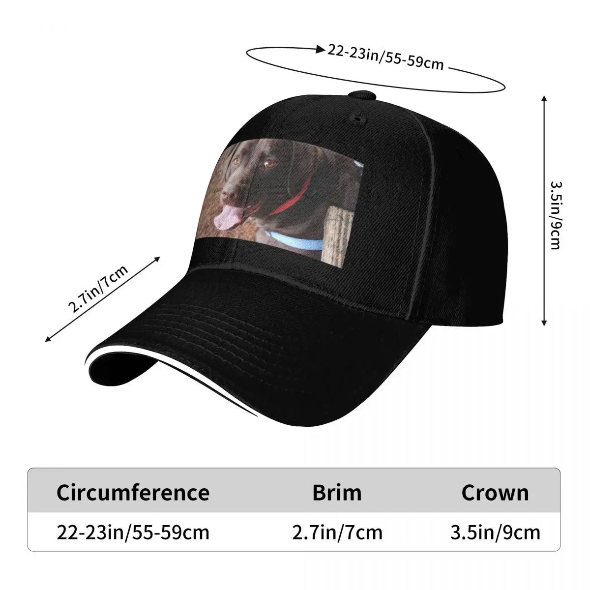 Daniel Larson Funny Graphic UPF 50+ Baseball Cap
