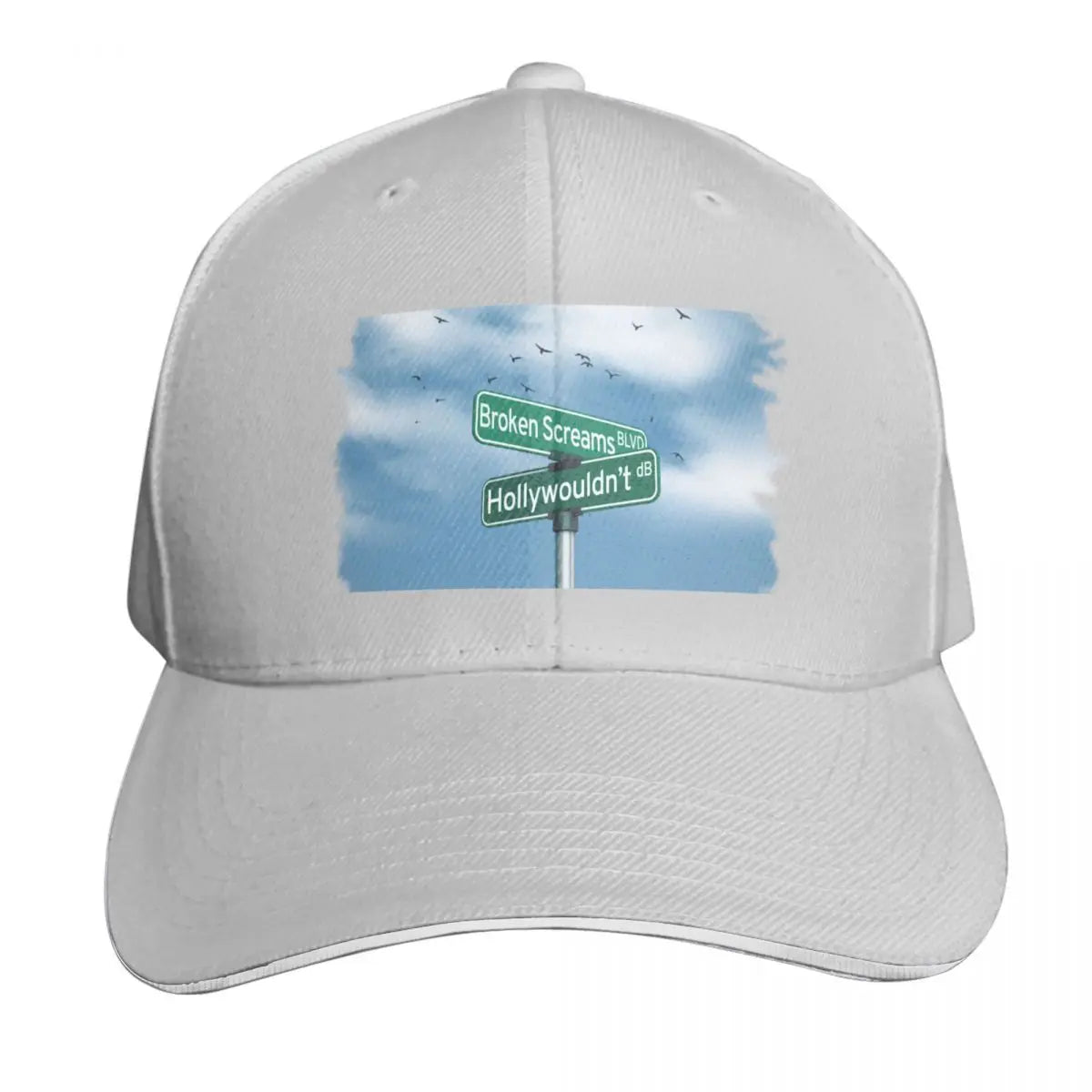 Drake Bell Hollywouldn't Curved Brim Baseball Cap