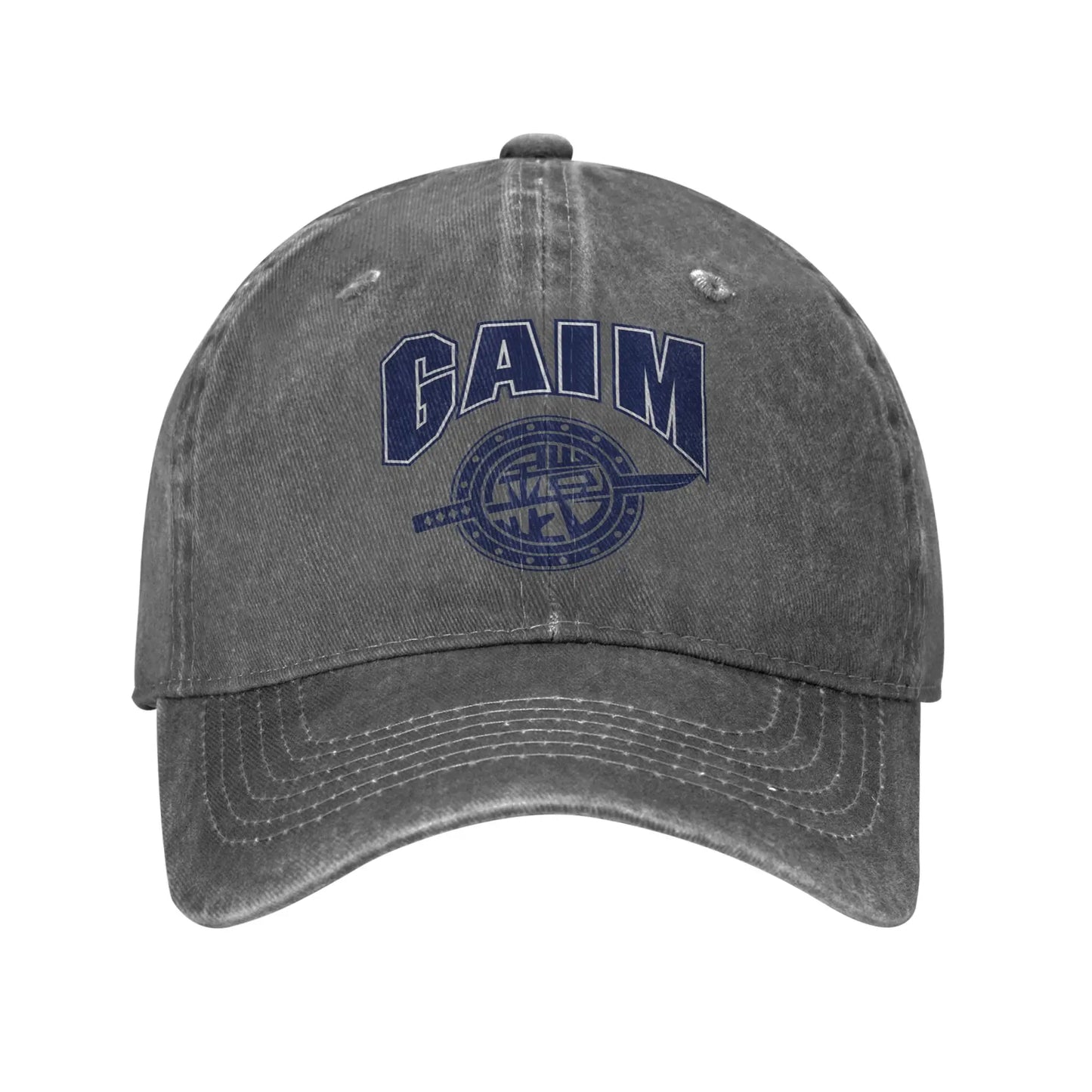 Team Gaim Cotton Snapback Baseball Cap