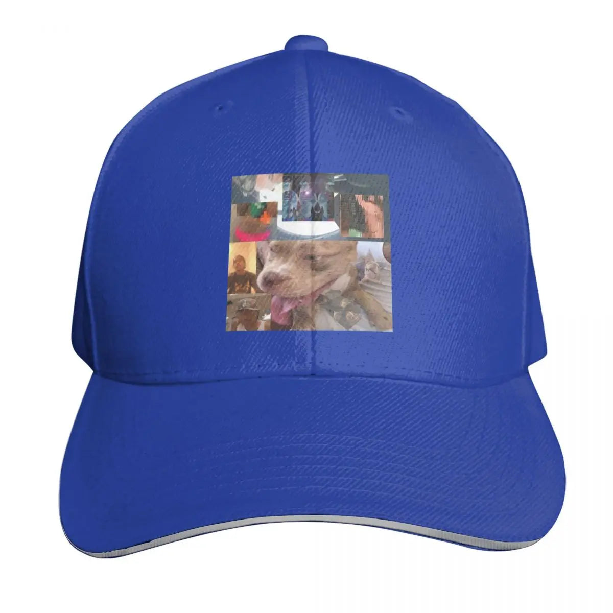 The Steve Lo-Fi 2020 Vintage Graphic Baseball Cap
