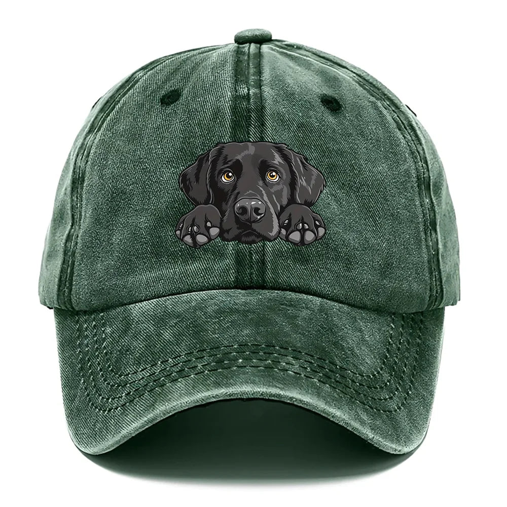 Labrador Print Washed Baseball Cap