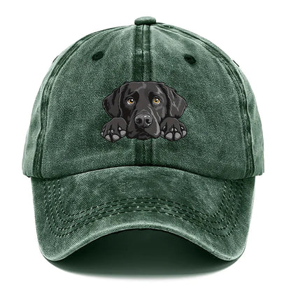 Labrador Print Washed Baseball Cap