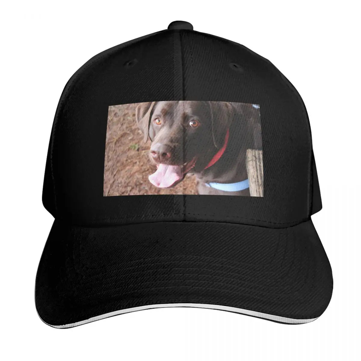 Daniel Larson Funny Graphic UPF 50+ Baseball Cap