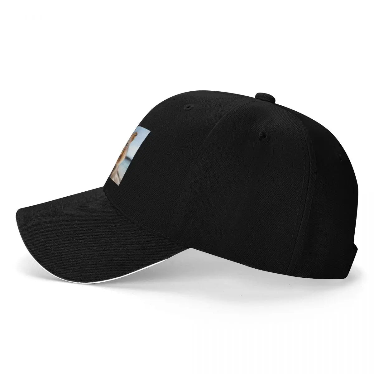 Quokka Art #21 Quokka Lovers Mesh Baseball Cap