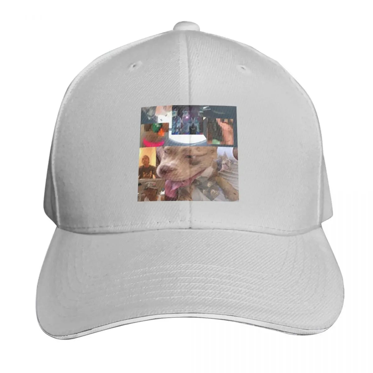 The Steve Lo-Fi 2020 Vintage Graphic Baseball Cap