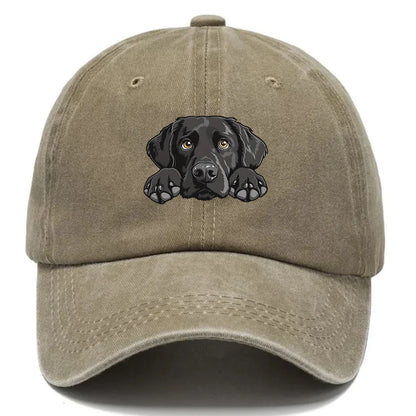Labrador Print Washed Baseball Cap