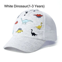 W Dinosaur 1-3 Years
