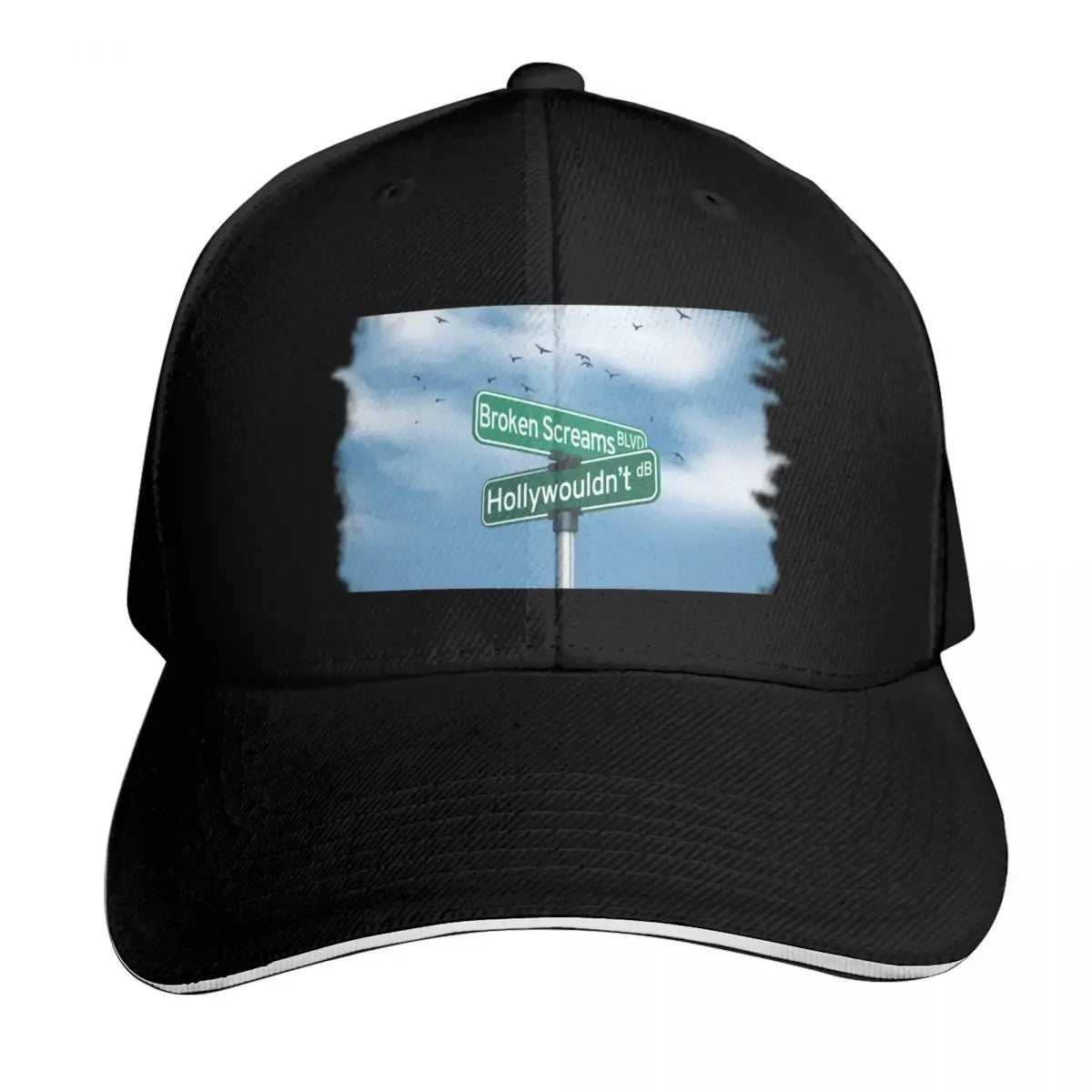 Drake Bell Hollywouldn't Curved Brim Baseball Cap