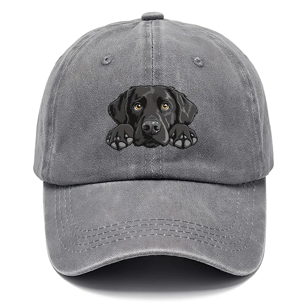 Labrador Print Washed Baseball Cap