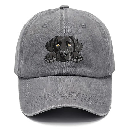 Labrador Print Washed Baseball Cap