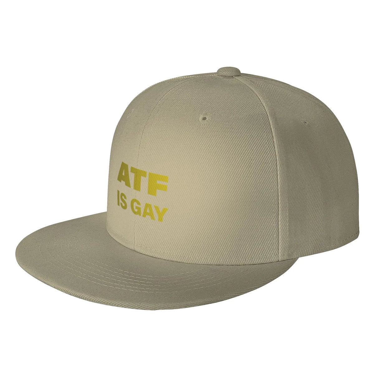 ATF Is Gay Bold Statement Graphic Snapback Cap