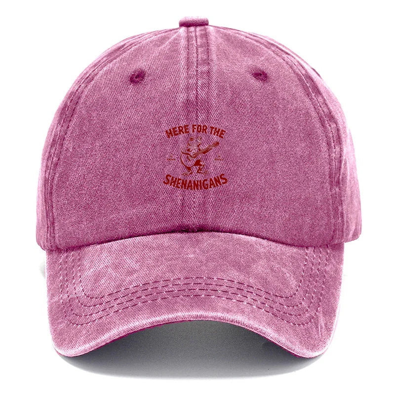 Vintage Funny Quote Washed Baseball Cap