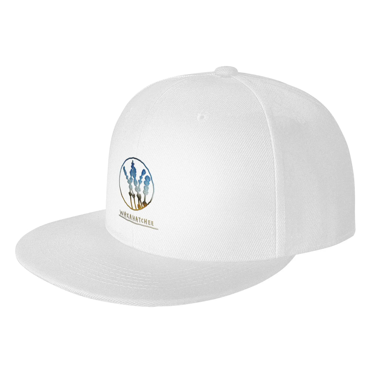 The Best Waxahatchee Classic Snapback Cap