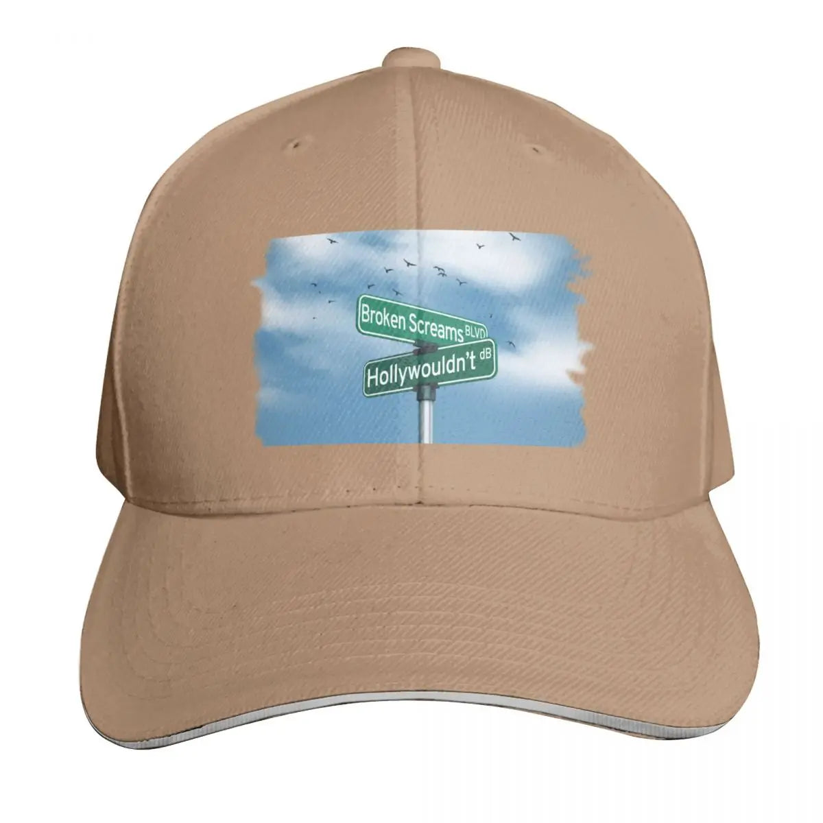 Drake Bell Hollywouldn't Curved Brim Baseball Cap