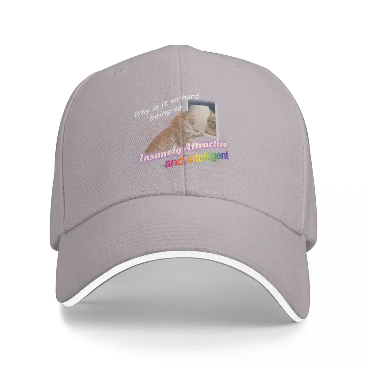 Insanely Attractive Intelligent Meme Baseball Cap